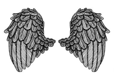 Ve güzel kanatlar yaymak