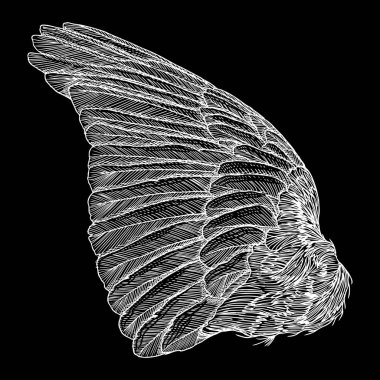 Elle çizilmiş vintage kanat