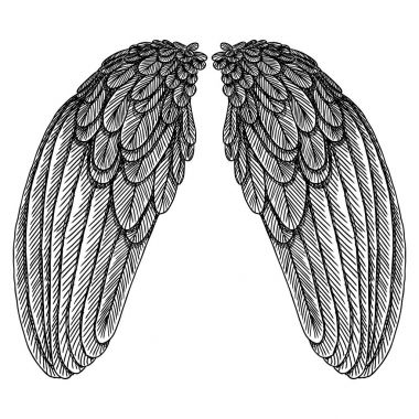 Ve güzel kanatlar yaymak