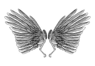 Ve güzel kanatlar yaymak