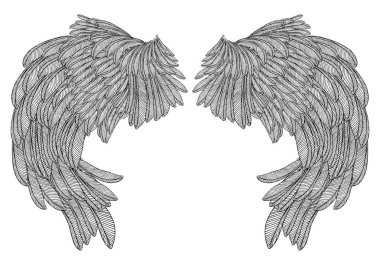 Ve güzel kanatlar yaymak