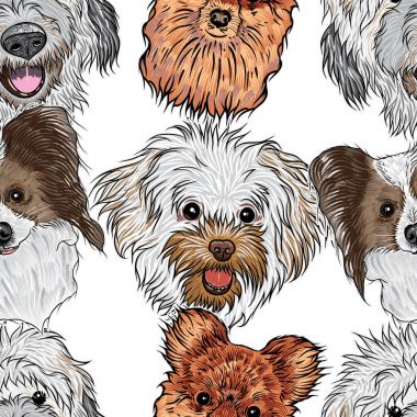 Safkan köpekler ile Seamless Modeli