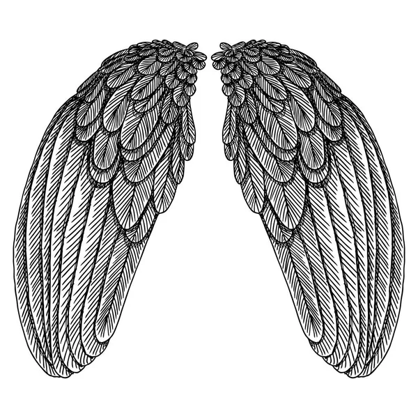 Ensemble d'ailes déployées — Image vectorielle