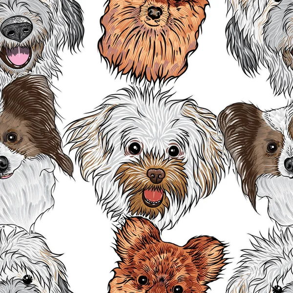 Varrat nélküli mintát a fajtiszta kutyák — Stock Vector