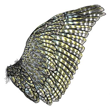 Vintage renkli kanat çizim