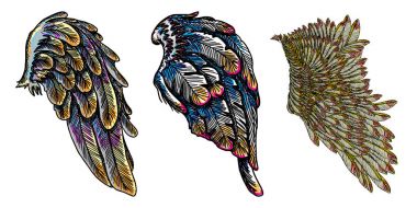 Set of colorful bird wings clipart