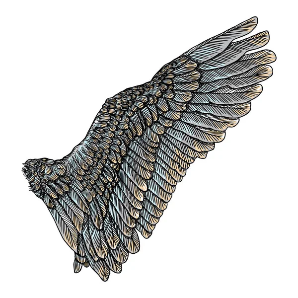 Vintage färgglada wing ritning — Stock vektor