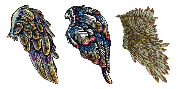 Zestaw kolorowy ptak skrzydło — Wektor stockowy