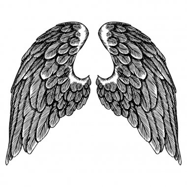 Kanatları küme çifti