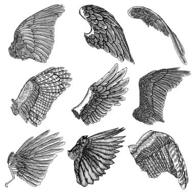 El çizimi kuş kanatları çekilmiş