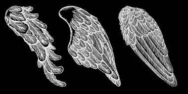 El çizimi kuş kanatları çekilmiş