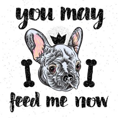 Kız Fransız buldozer resimde yazıt ile