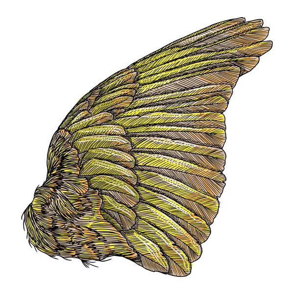 Vintage kleurrijke vleugel tekening — Stockvector