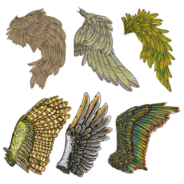 Conjunto de asas de pássaro coloridas — Vetor de Stock