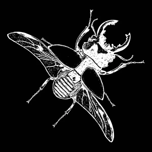 Ιπτάμενα έντομα σκίτσο — Διανυσματικό Αρχείο