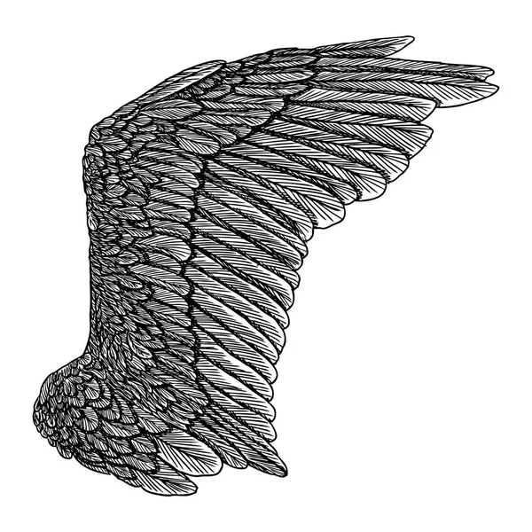 Vintage wing ritning — Stock vektor