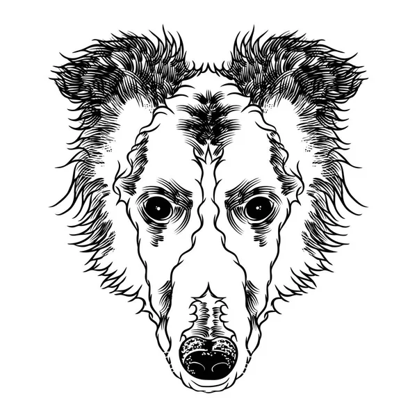 Πορτρέτο του ποιμενικού σκύλου σκυλάκι — Διανυσματικό Αρχείο