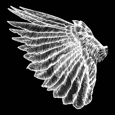 Vintage kanat çizim