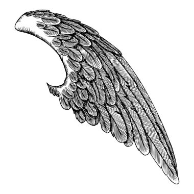 Vintage kanat çizim