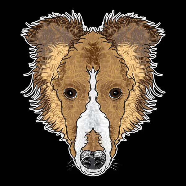 Ručně tažené štěně ilustrace — Stockový vektor