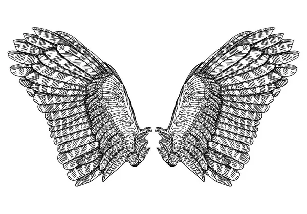 Uppsättning av svart vit sprida vingar — Stock vektor