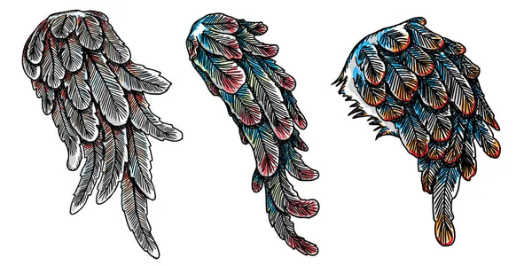Conjunto de asas de pássaro coloridas — Vetor de Stock