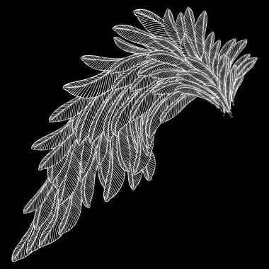 Elle çizilmiş ayrıntılı kuş kanat