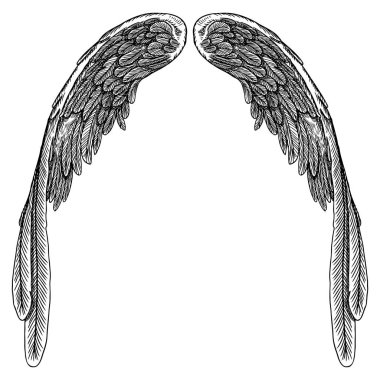 Ve güzel kanatlar yaymak