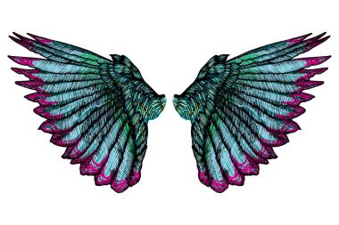 Renkli kuş kanatları 