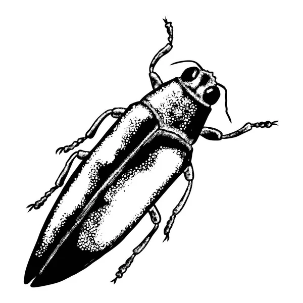 Insekt stöpplingen ritning — Stock vektor