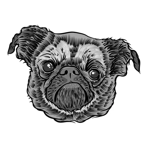 Pug chiot dessin — Image vectorielle