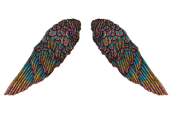 Барвисті птиці крилами — стоковий вектор