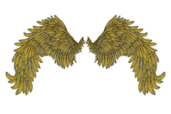 Barevné ptačí křídla — Stockový vektor