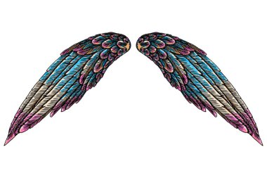 Renkli kuş kanatları 