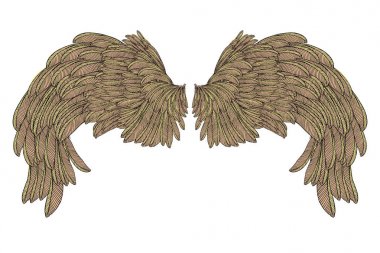 Renkli kuş kanatları 