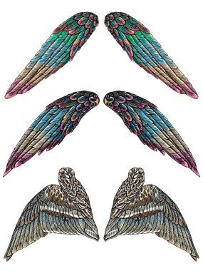 Ve güzel melek renkli kanatlar