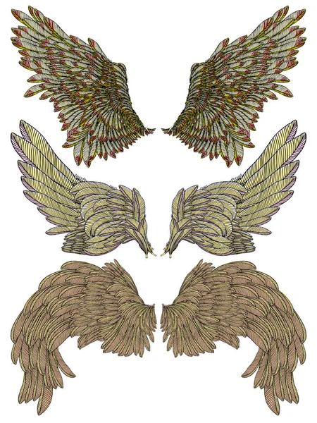组的五彩鸟的翅膀 — 图库矢量图片