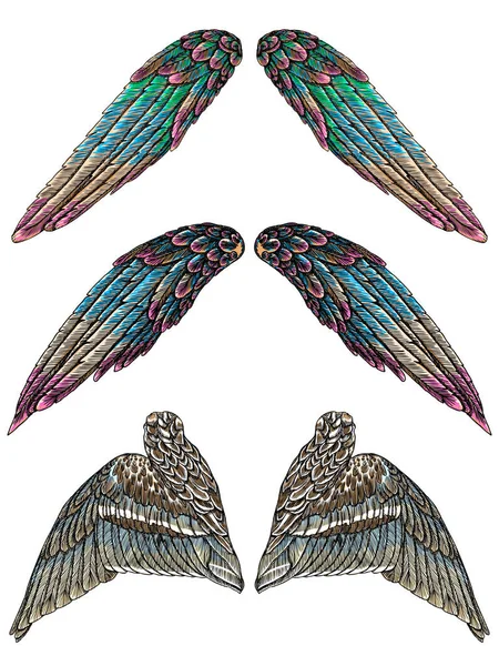 Conjunto de asas coloridas de anjo — Vetor de Stock