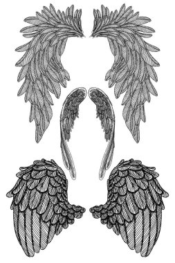 Elle çizilmiş kuş kanatları seti
