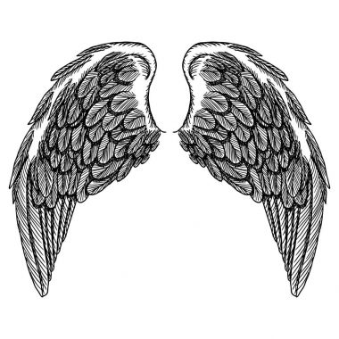 Ve güzel kanatlar yaymak