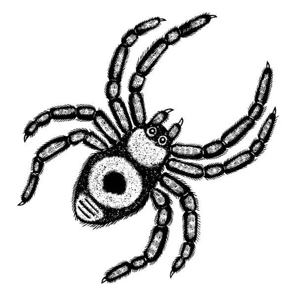 Людина-павук stipple креслення — стоковий вектор