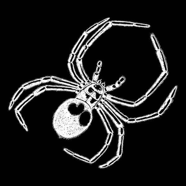 Çizim noktalarla örümcek — Stok Vektör