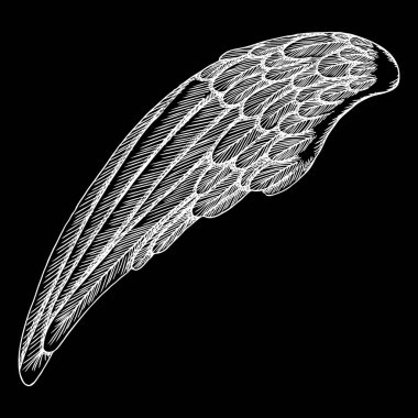 Vintage kanat çizim