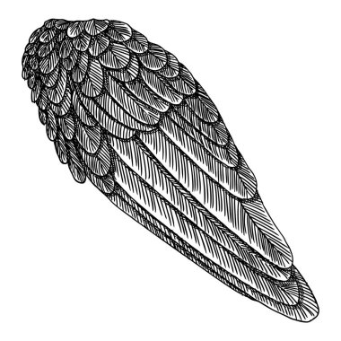 Vintage kanat çizim