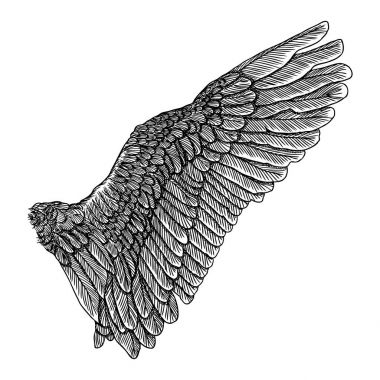 Vintage kanat çizim