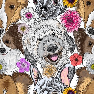 Safkan köpekler ile Seamless Modeli