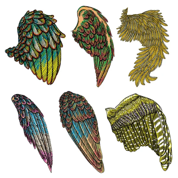 Ve güzel renkli kuş kanatlar