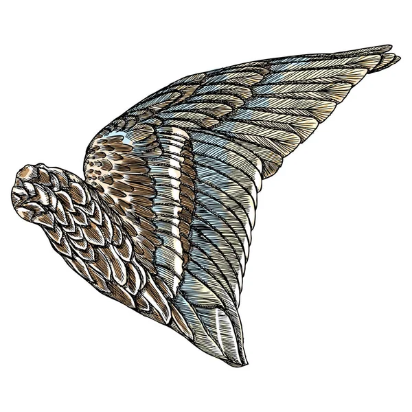 Gambar sayap antik - Stok Vektor