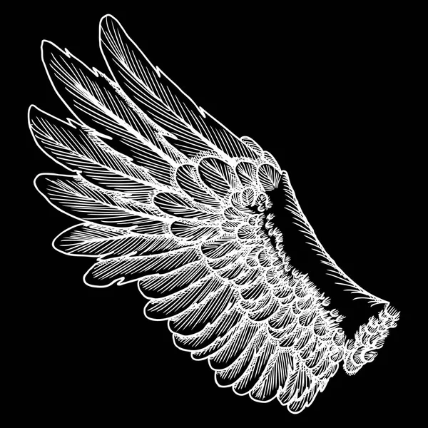 Oldtimer-Flügelzeichnung — Stockvektor