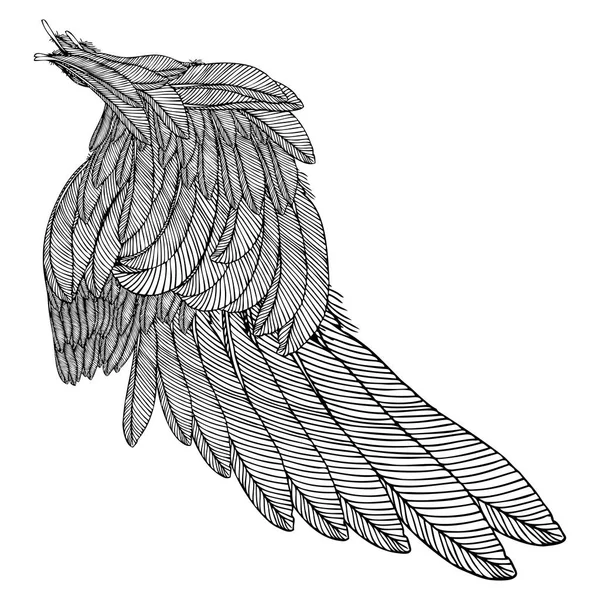 Vintage vleugel tekening — Stockvector